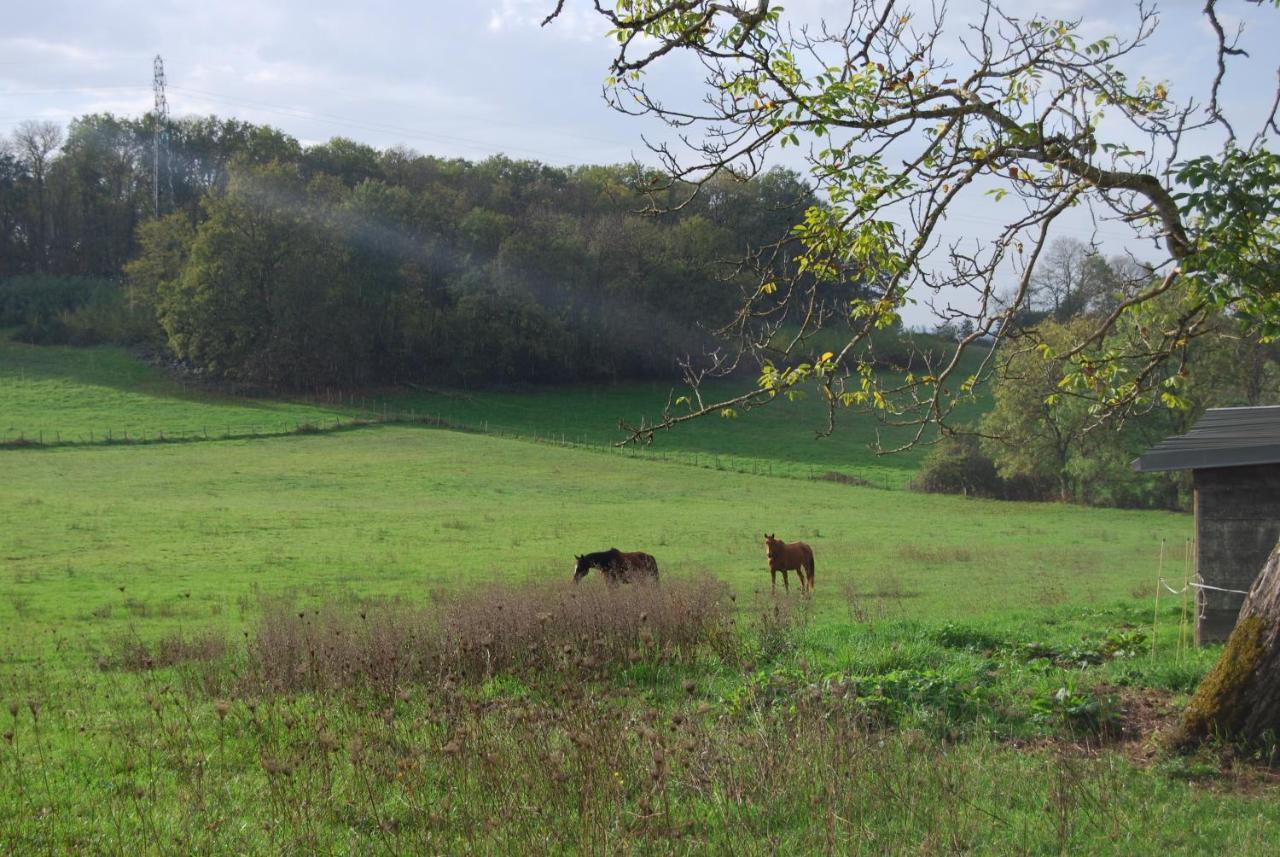 Gite Les Glycines Diges Bagian luar foto